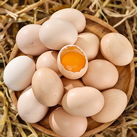 鸡蛋是一种营养食品，但不宜过量